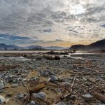 rocks and twigs on a beach