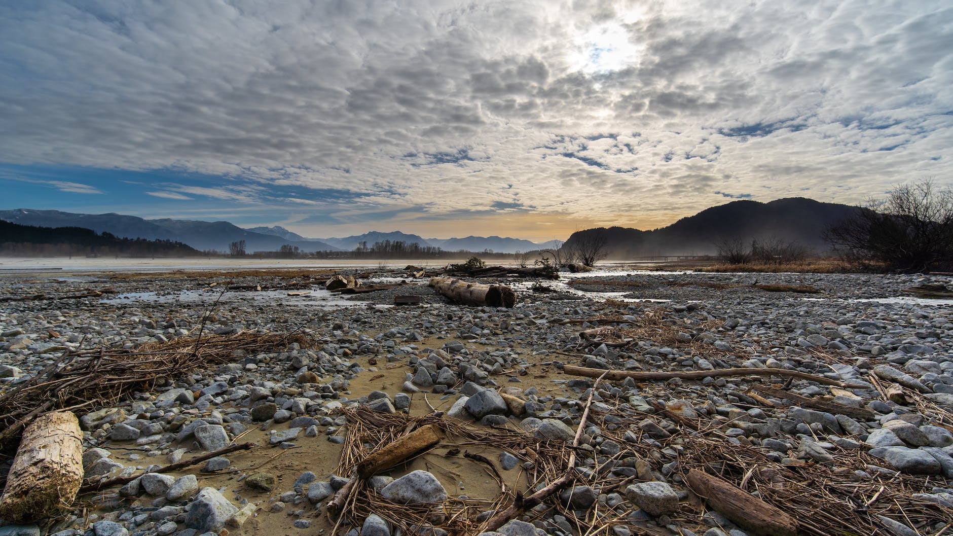 rocks and twigs on a beach